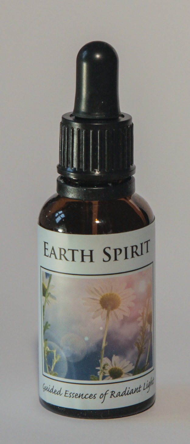 The Light of the Earth