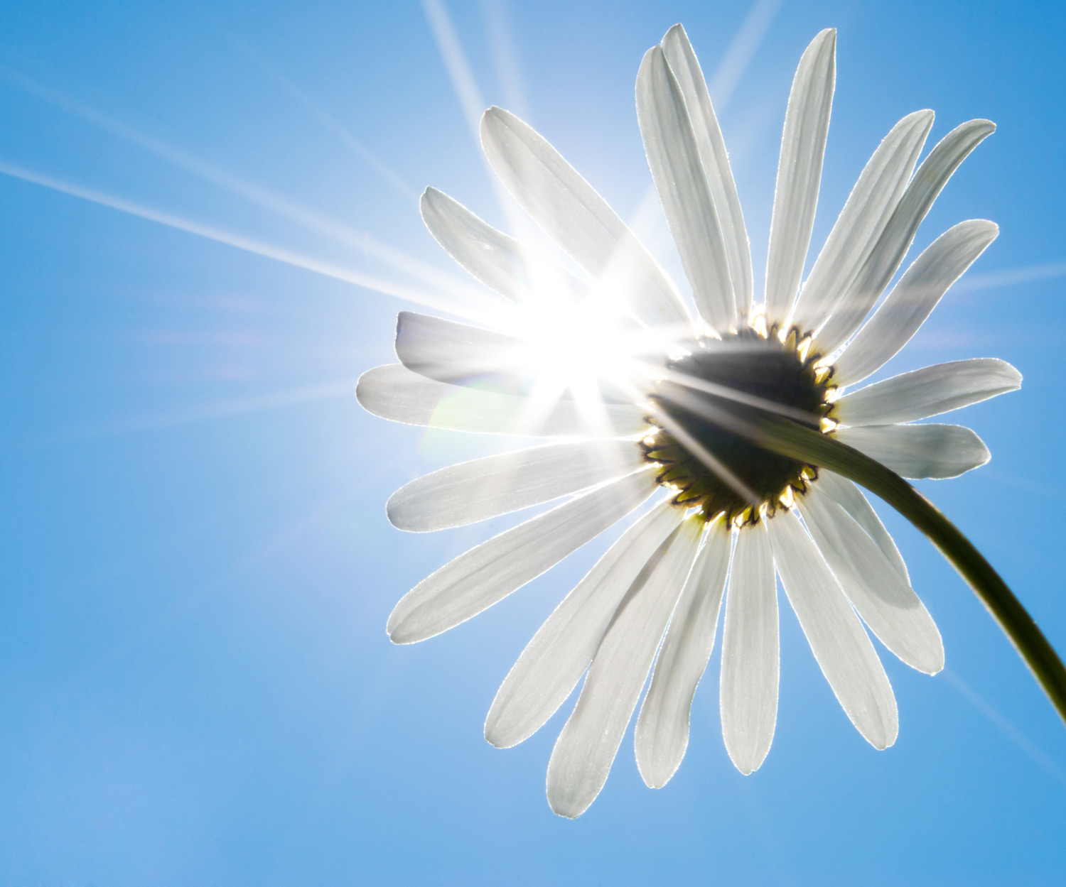 Words of Illumination