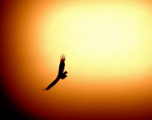 An image to illustrate 'Ascension'